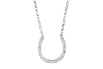 Horseshoe Necklace - Large Design