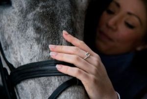 Equestrian Rings