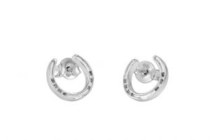 Horseshoe Earrings