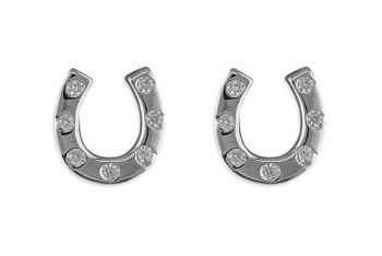 Horseshoe Cubic Zirconia Earrings